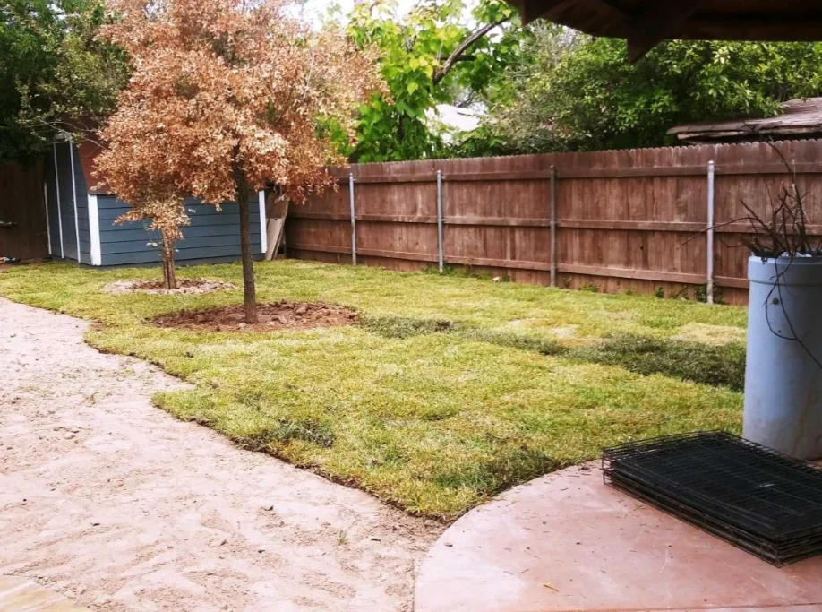 hernandez-concrete-services-austin